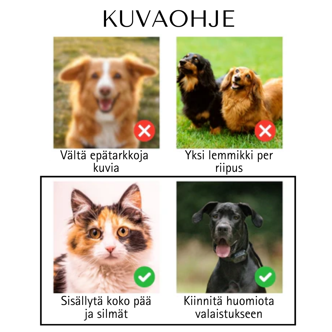 Lemmikin Kasvorannekoru